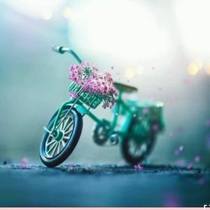 Meet your Posher, Asha